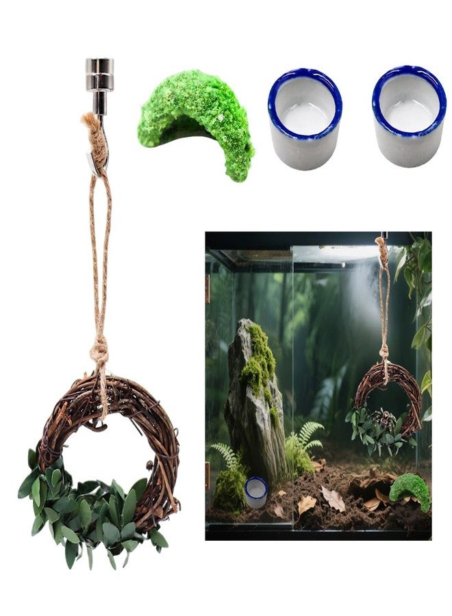 Luchike Set of 4 Jumping Spider Enclosure Accessories Jumping Spider Accessories Enclosure Habitat Decor 2 Water Bowl 1 Rattan Swing 1 Little Green Hide - Image 1